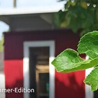 Banner "Picknick-Gottesdienste": Privates Foto von Kathis Laube, rot gestrichene Holzlaube unscharf im Hintergrund, davor scharf im Vordergrund die saftig grünen Blätter eines Apfelbaums